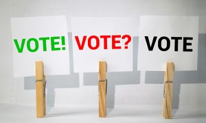 Proiect de lege: Mai multe zile de vot pentru românii din diaspora la alegerile parlamentare